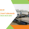 BẢO VỆ THỦY SẢN NUÔI TRONG MÙA MƯA BÃO