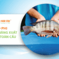 Cá rô phi – tiềm năng xuất khẩu toàn cầu