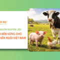 Chủ động nguồn nguyên liệu: Hướng đi bền vững cho ngành chăn nuôi Việt Nam