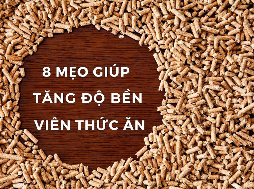 meo-giup-tang-do-ben-vien-thuc-an-01