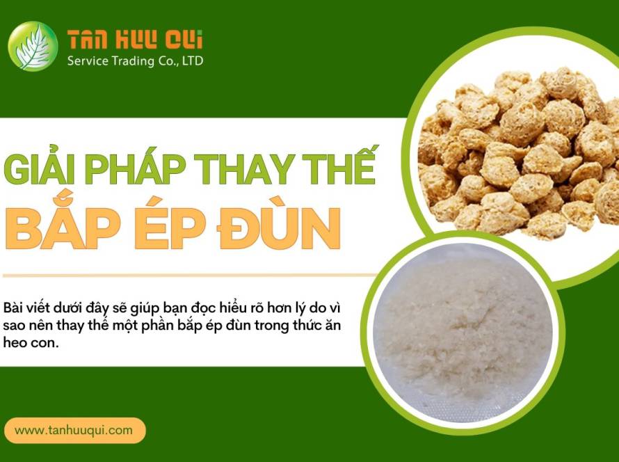 gai phap thay the bap ep dun 04