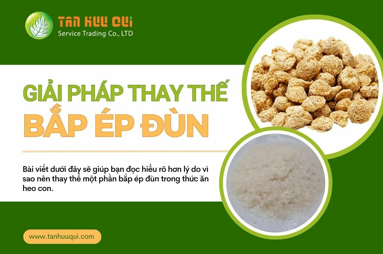 gai phap thay the bap ep dun 04