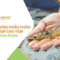 Xây dựng khẩu phần cho tôm ở các giai đoạn